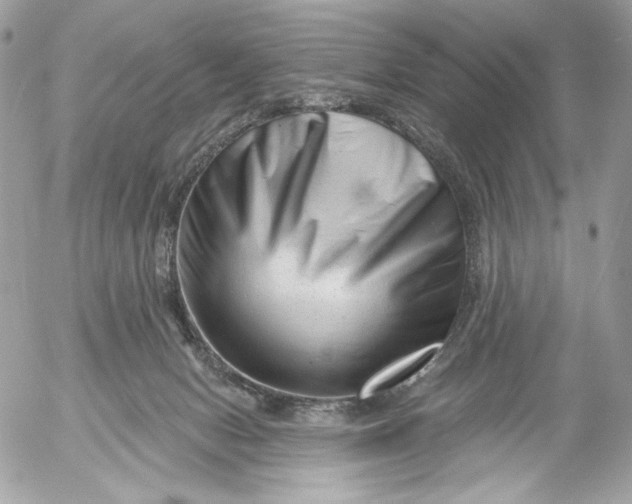 X0000054440078200508191622