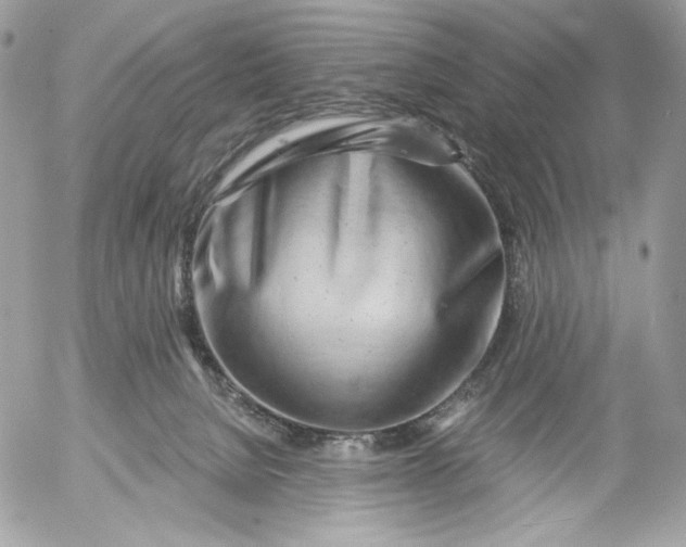 X0000054440080200508191622