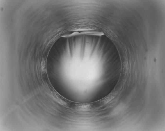 X0000054440081200508191622