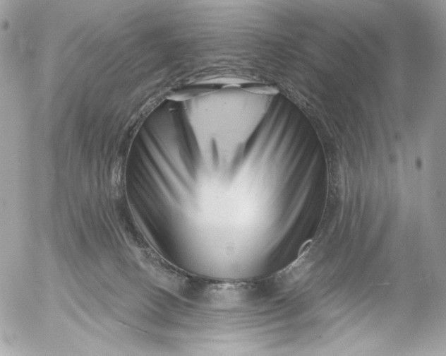 X0000054440082200508191622