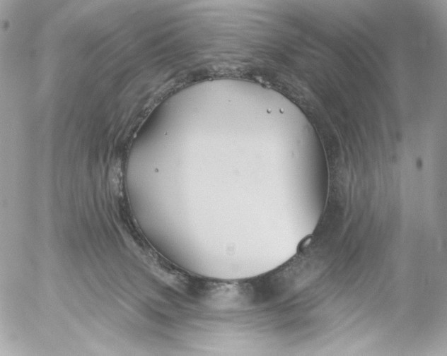 X0000054440083200508191622