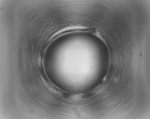 X0000054440084200508191622