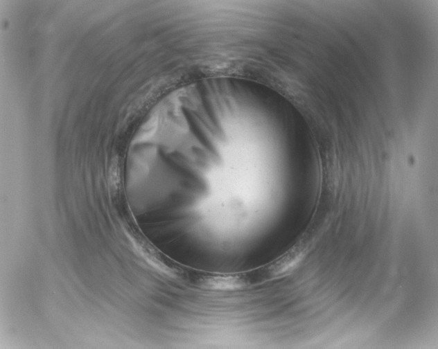 X0000054440085200508191622