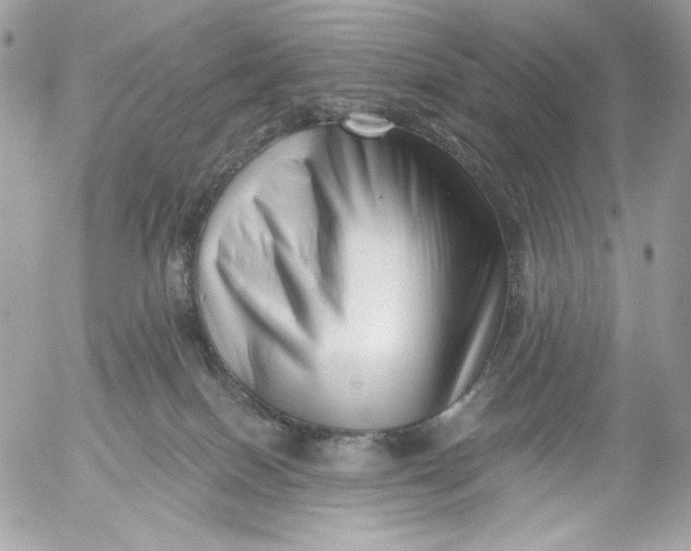 X0000054440086200508191622