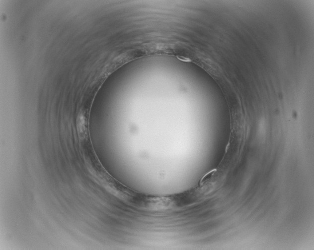 X0000054440087200508191622