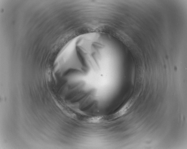 X0000054440090200508191622