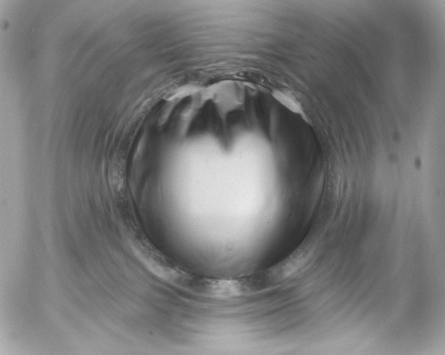 X0000054440091200508191622