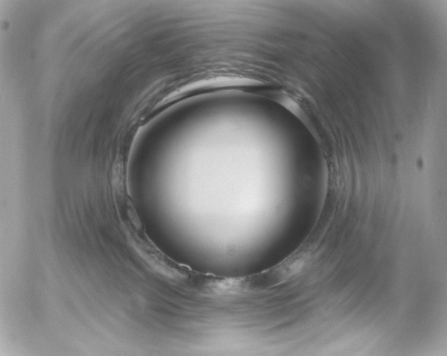 X0000054440092200508191622