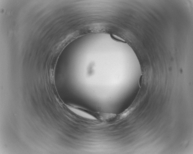 X0000054440093200508191622