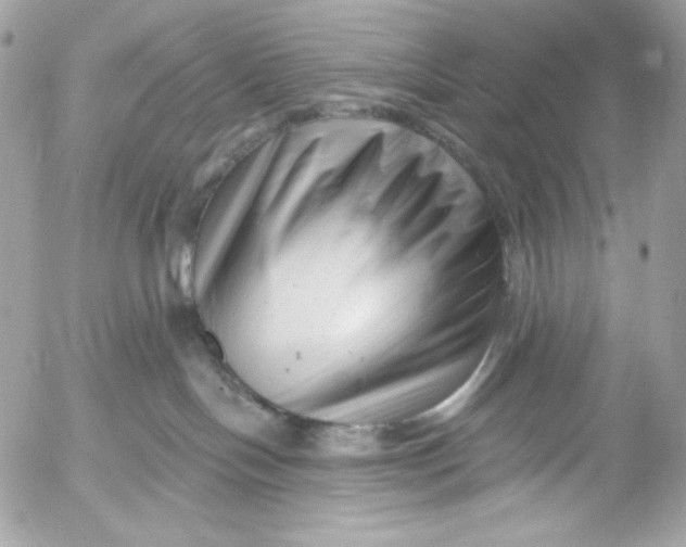 X0000054440094200508191622