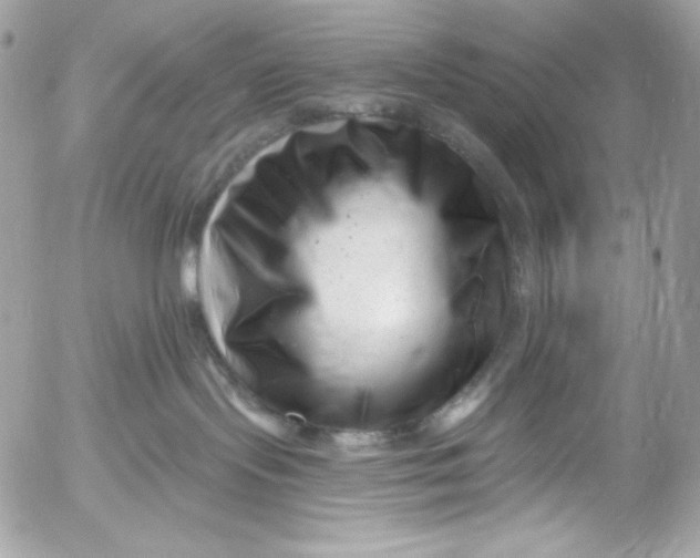 X0000054440095200508191622