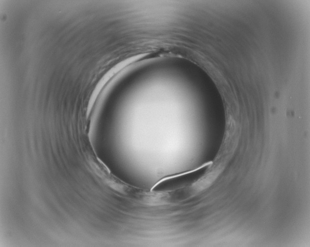 X0000054440096200508191622