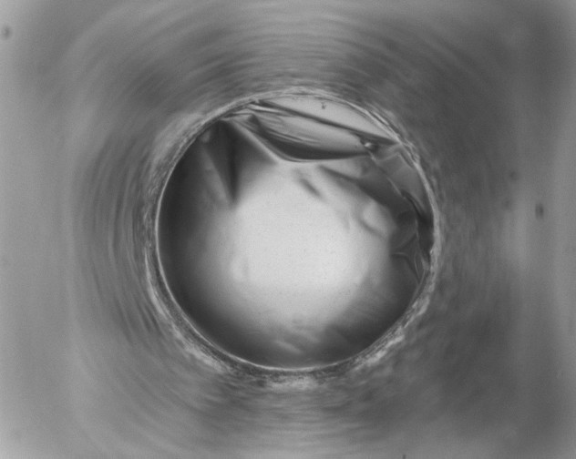 X0000054440097200508191621