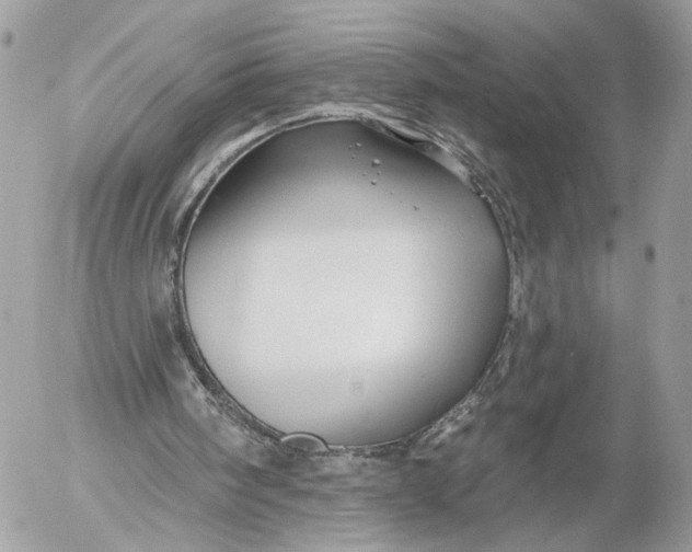 X0000054440098200508191621