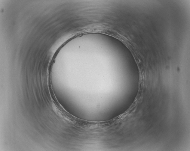 X0000054440100200508191621