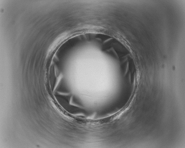 X0000054440101200508191621