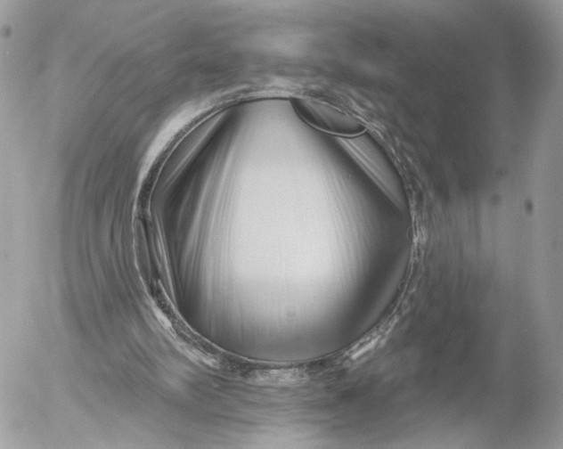 X0000054440102200508191621