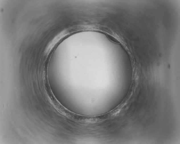 X0000054440103200508191621