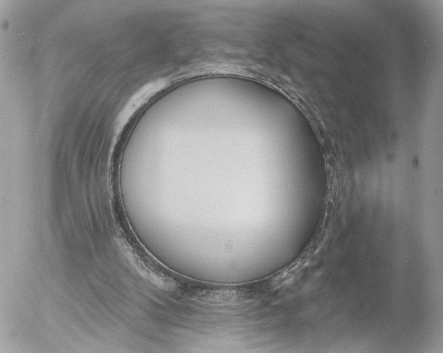 X0000054440104200508191621