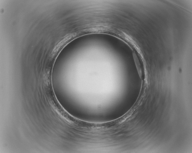 X0000054440105200508191621