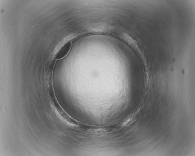 X0000054440106200508191621