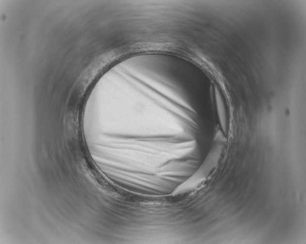 X0000054440107200508191621