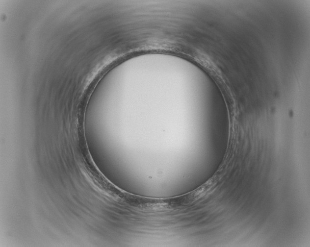 X0000054440108200508191621