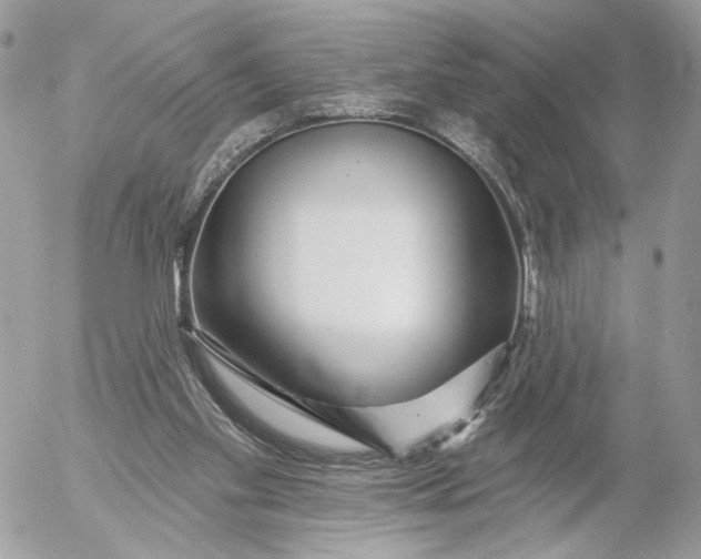 X0000054440109200508191621