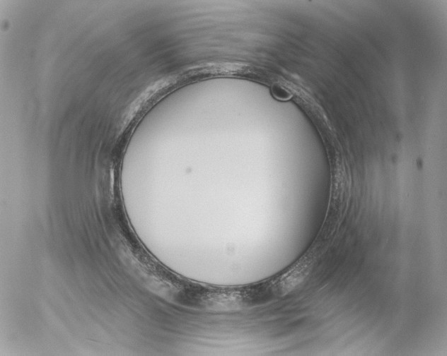 X0000054440110200508191621