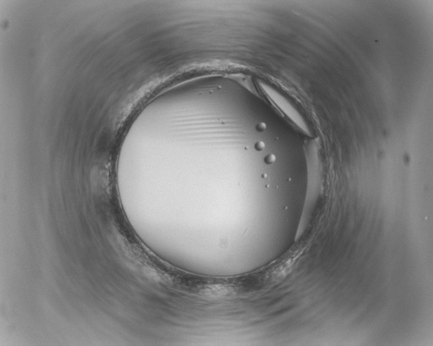 X0000054440111200508191621