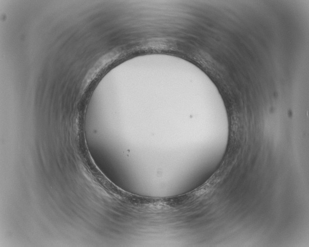 X0000054440112200508191621