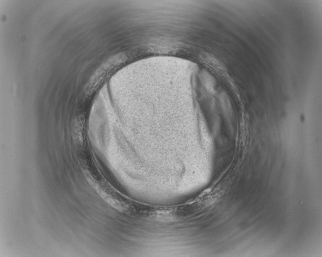 X0000054440114200508191621