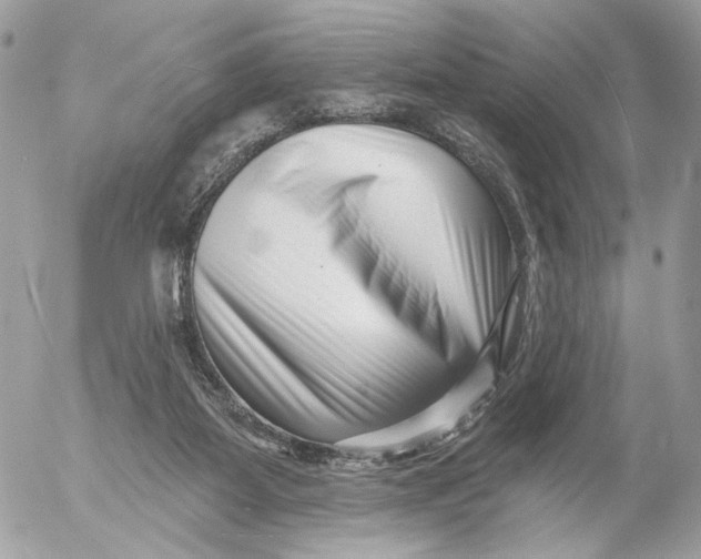 X0000054440115200508191621