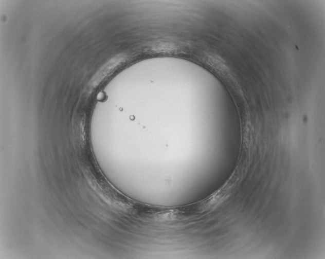 X0000054440116200508191621