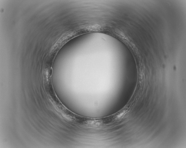 X0000054440117200508191621