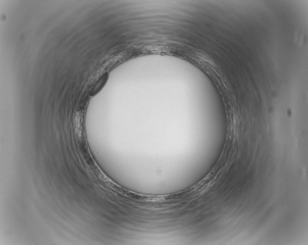 X0000054440121200508191621