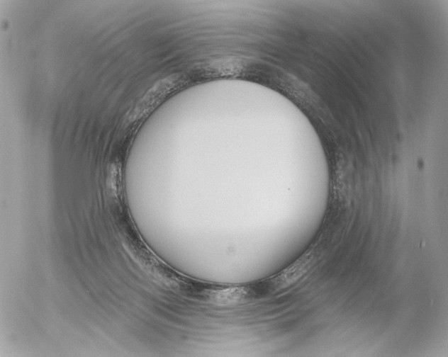 X0000054440122200508191621