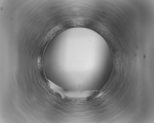 X0000054440123200508191621