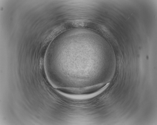 X0000054440125200508191621