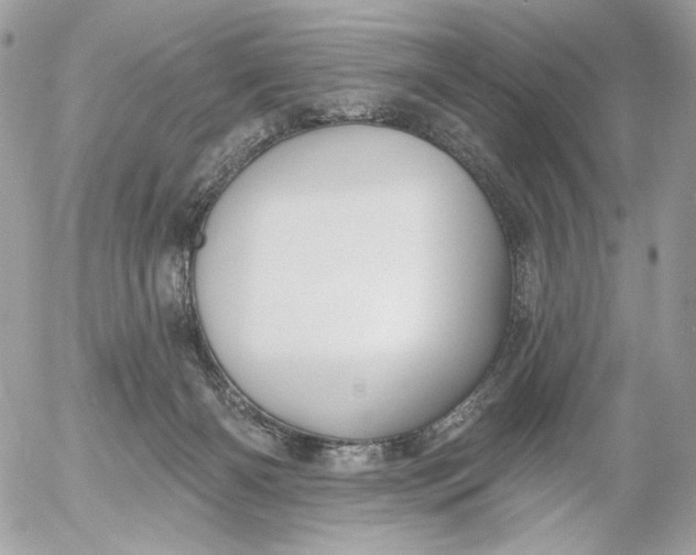 X0000054440126200508191621