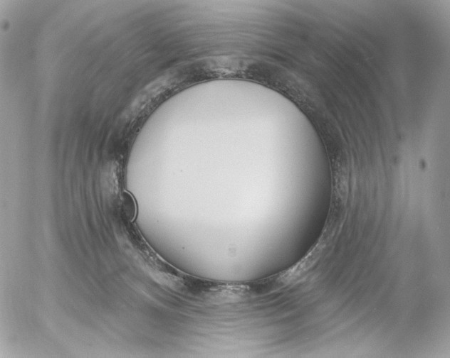 X0000054440128200508191621