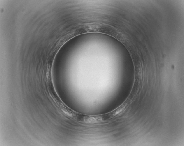 X0000054440129200508191621