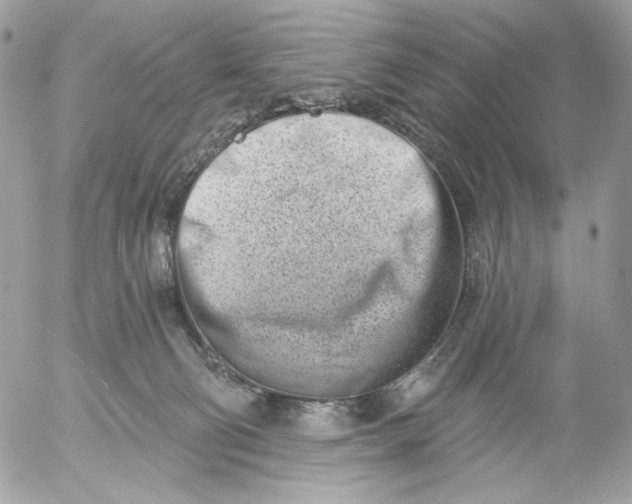 X0000054440130200508191621