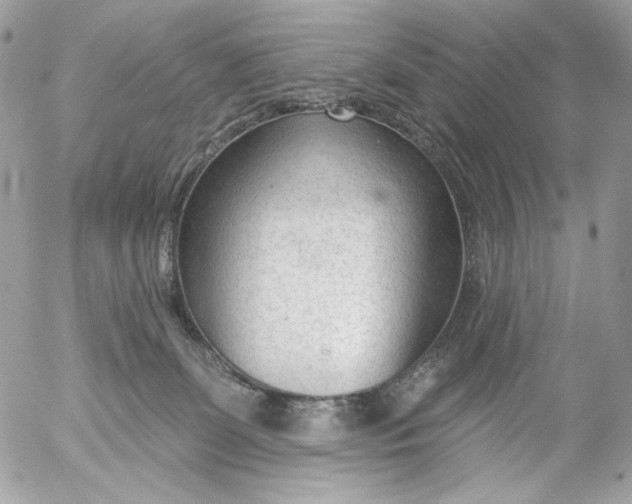 X0000054440131200508191621