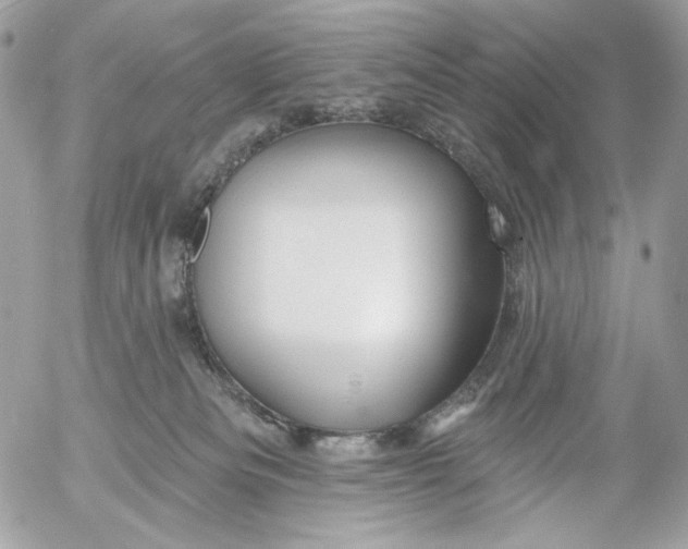 X0000054440133200508191621