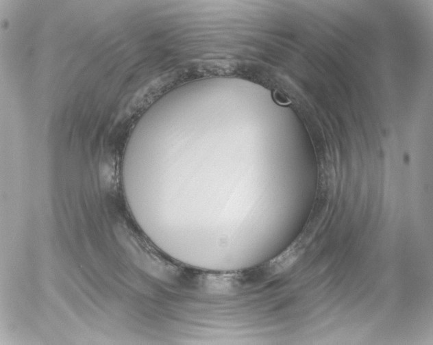 X0000054440134200508191621