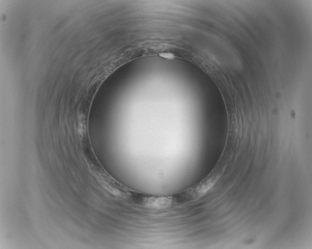 X0000054440135200508191621