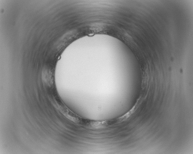 X0000054440136200508191621