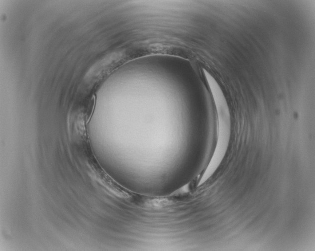 X0000054440137200508191621