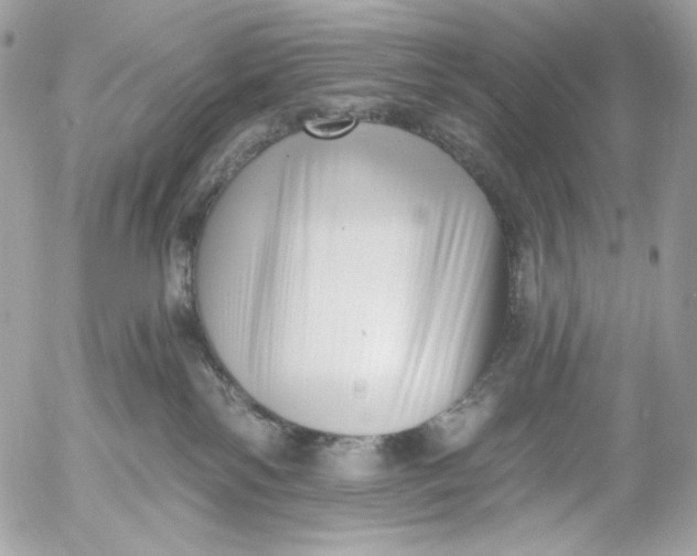 X0000054440138200508191621